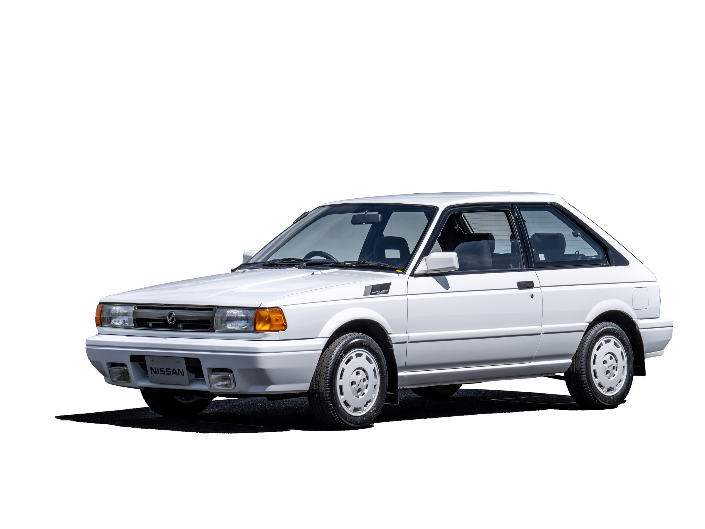 サニー Sales Vehicle #114: It's a miracle it survived! Traditional